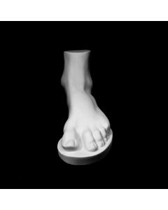 Plaster Cast The Foot Of Heraсles
