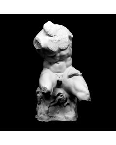 Kipskuju Belvedere Torso