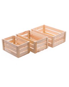 Kast 245X145X125Mm