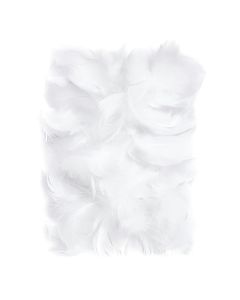 Feathers 5-12 Cm, 10 G White