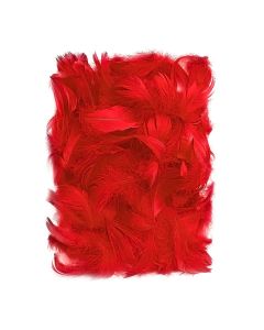 Feathers 5-12 Cm, 10 G Red