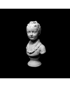 Plaster Cast The Head Of Aleksandr Brongniart