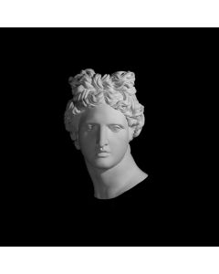 Plaster Cast The Apollo Mask